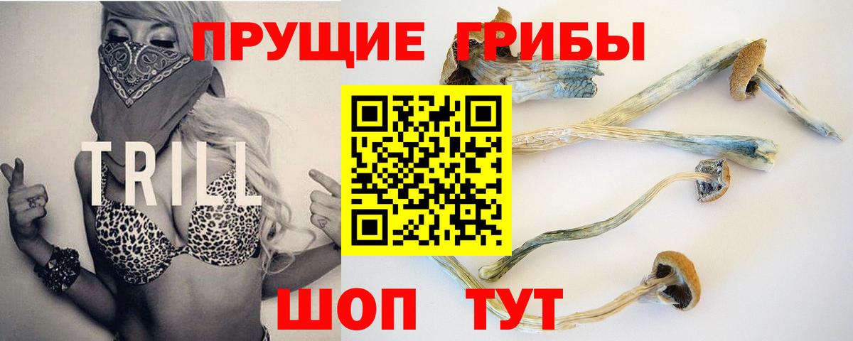 Гагарин  Галлюциногенные грибы Psilocybine cubensis  Галлюциногенные грибы Magic Shrooms  Вход с VPN 